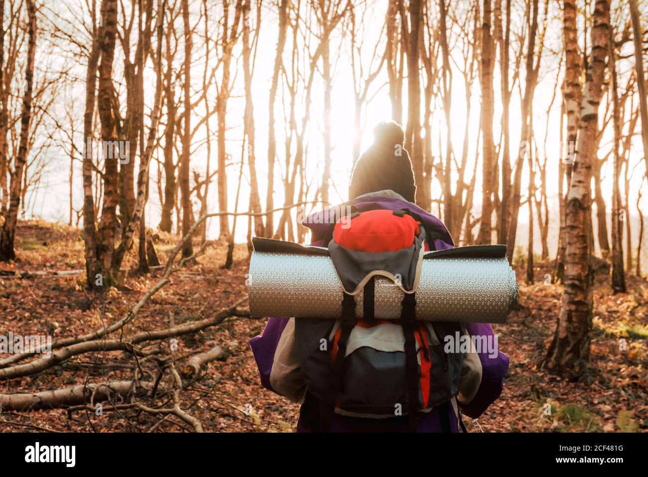 Walking route through forest hi-res stock photography and images - Alamy