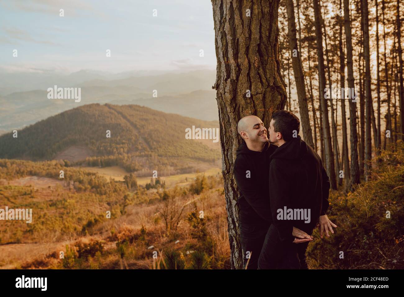 Side view of cheerful homosexual couple embracing and looking at each other near tree in forest and picturesque view of valley Stock Photo