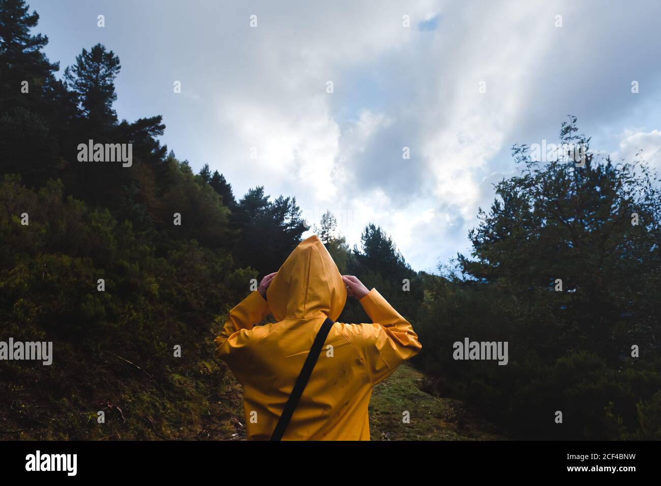 Person in yellow raincoat walking in forest Stock Photo - Alamy