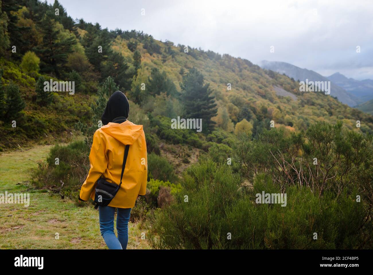 Person in the forest hi-res stock photography and images - Alamy