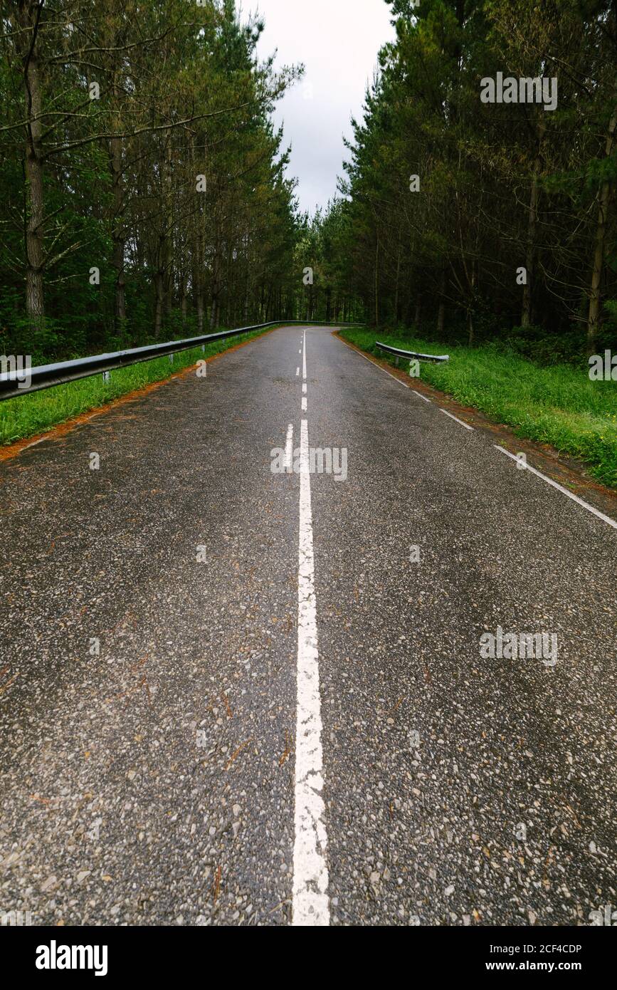 Wet asphalt road through forest Stock Photo - Alamy