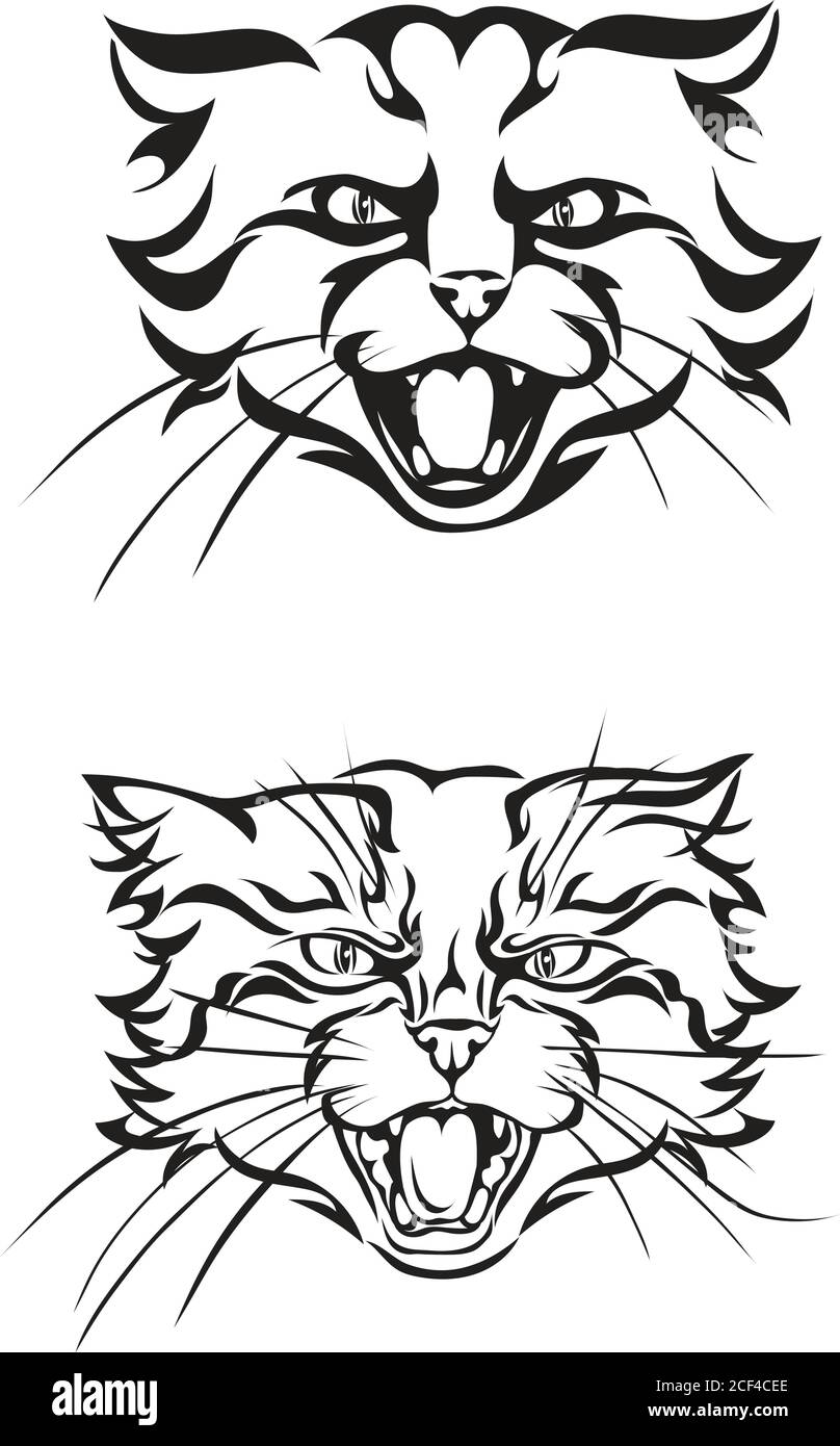 Set cat icons isolated on black and white Vector Image