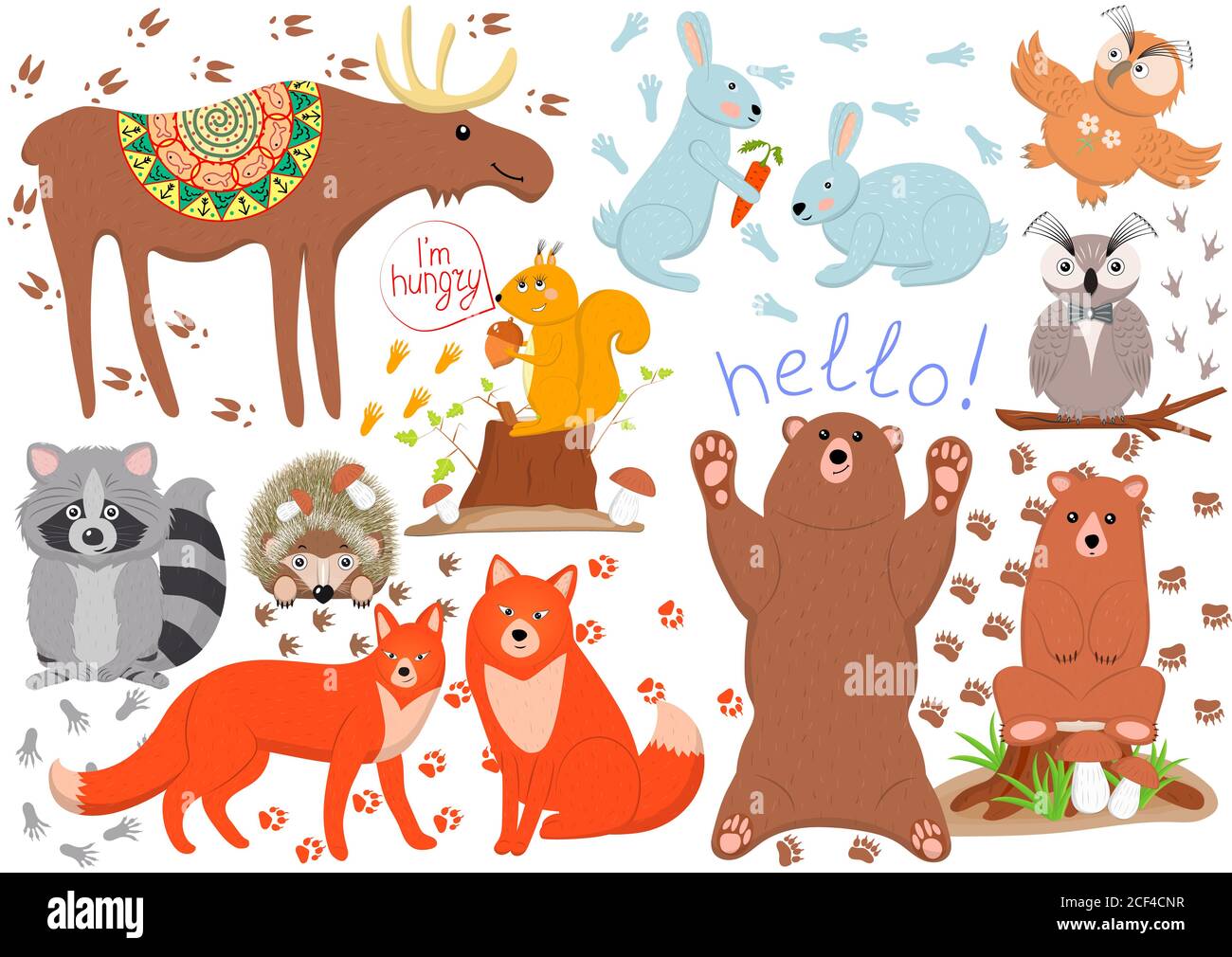 Set of funny cute woodland animals isolated on white background Stock ...