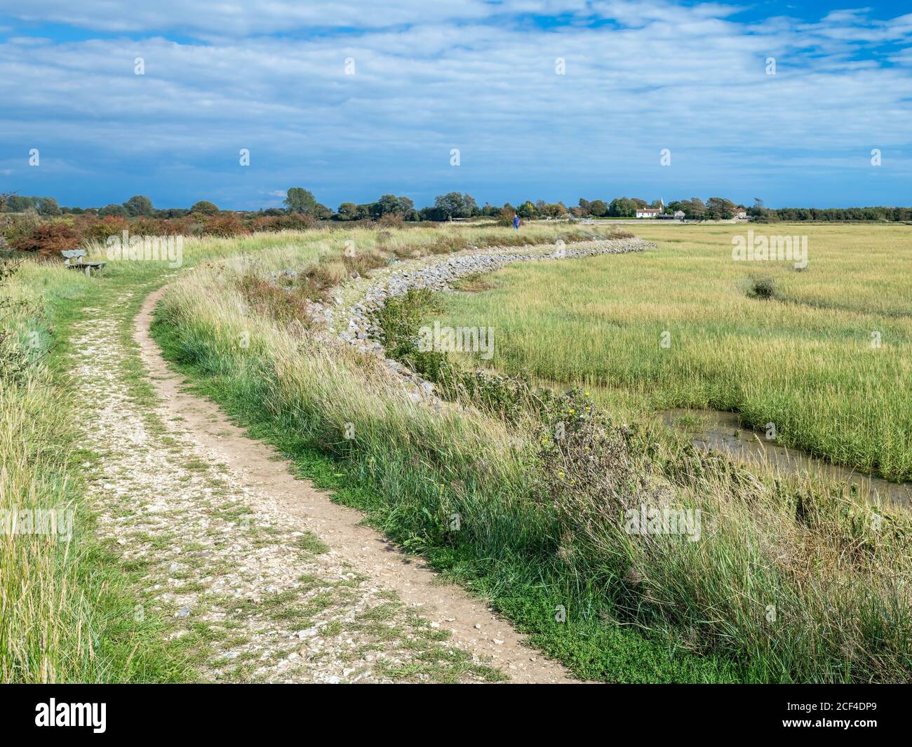 Pagham Harbour Nature reserve in West Sussex, UK Stock Photo Alamy