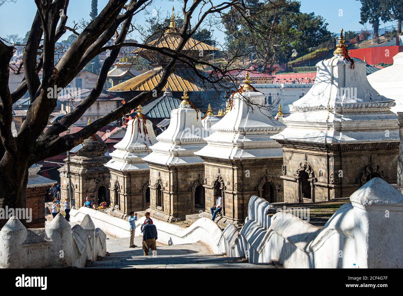 Pashupatinath hindu temple in Kathmandu, Nepal Stock Photo