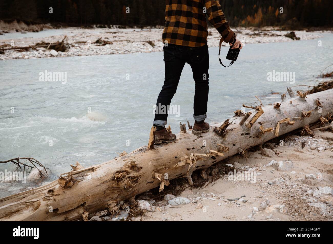 Back view of cropped unrecognizable man traveler in casual wear with a photography professional camera walking in a fallen tree trunk delighting in view of turquoise lake with foggy Dolomites mountains on background at Italy Stock Photo