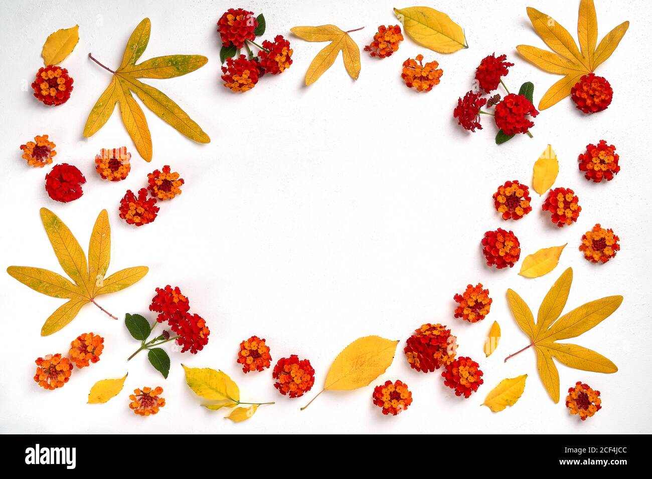 Autumn composition. Frame made of leaves and flowers on white ...