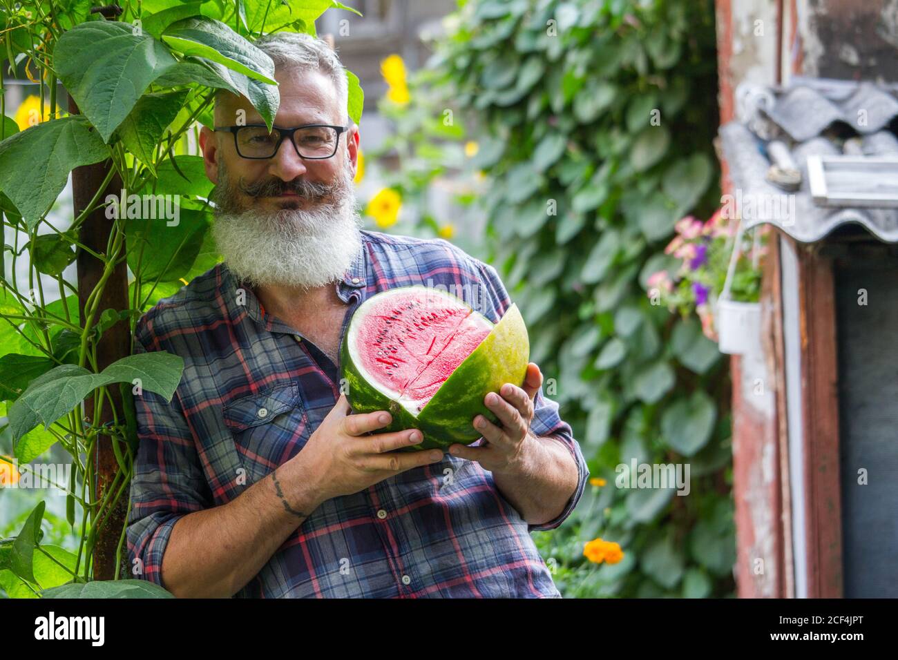 Portrait of mature bearded male farmer with ripe watermelon, own harvest concept, selective focus Stock Photo