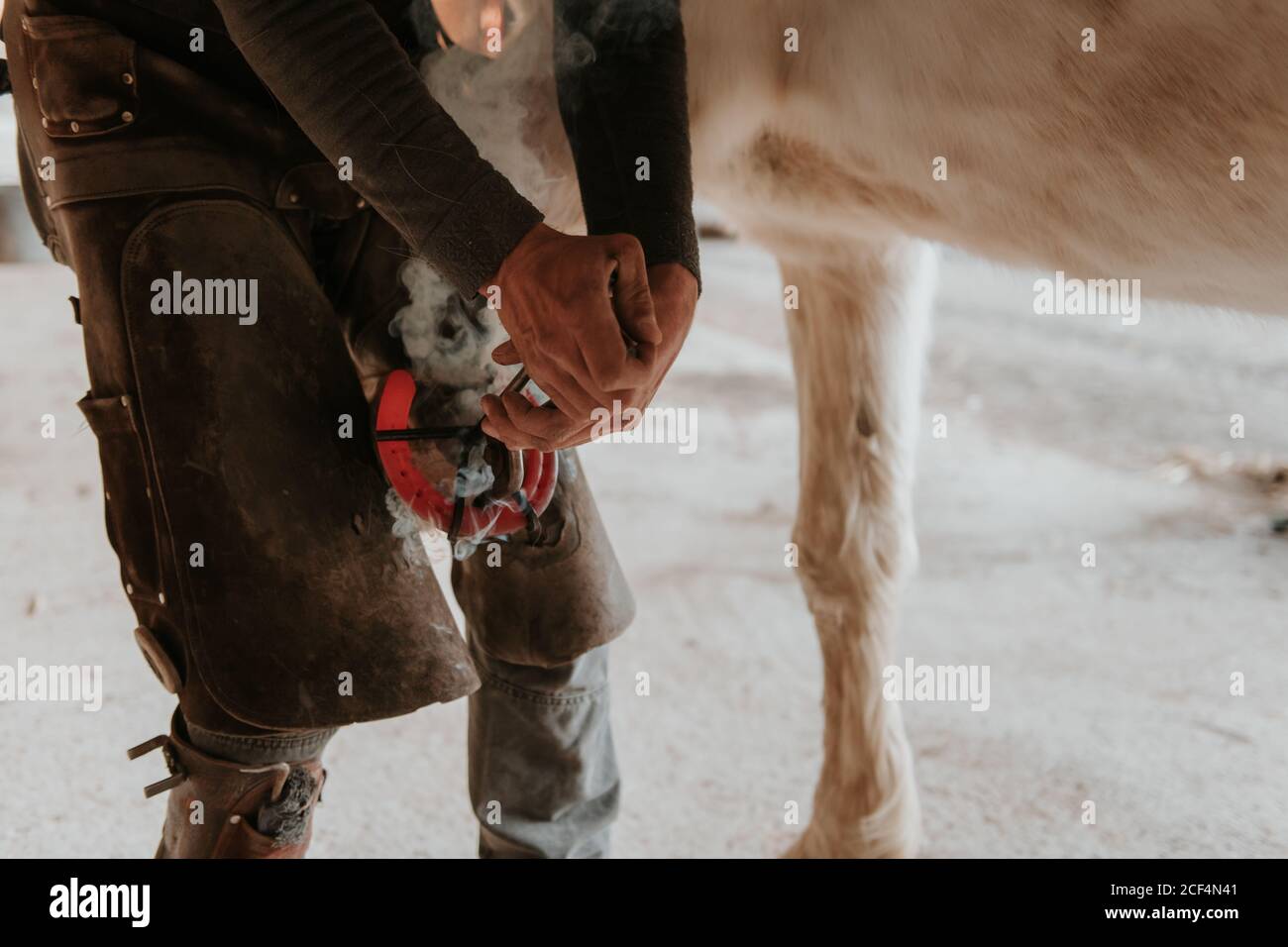 unrecognizable farrier putting hot horseshoe on hoof of white horse on