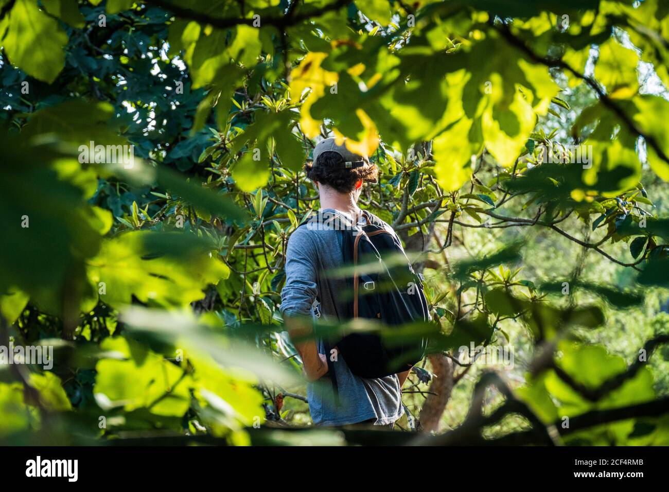 Back view of anonymous active tourist with black backpack moving on path between stones and forest grove Stock Photo