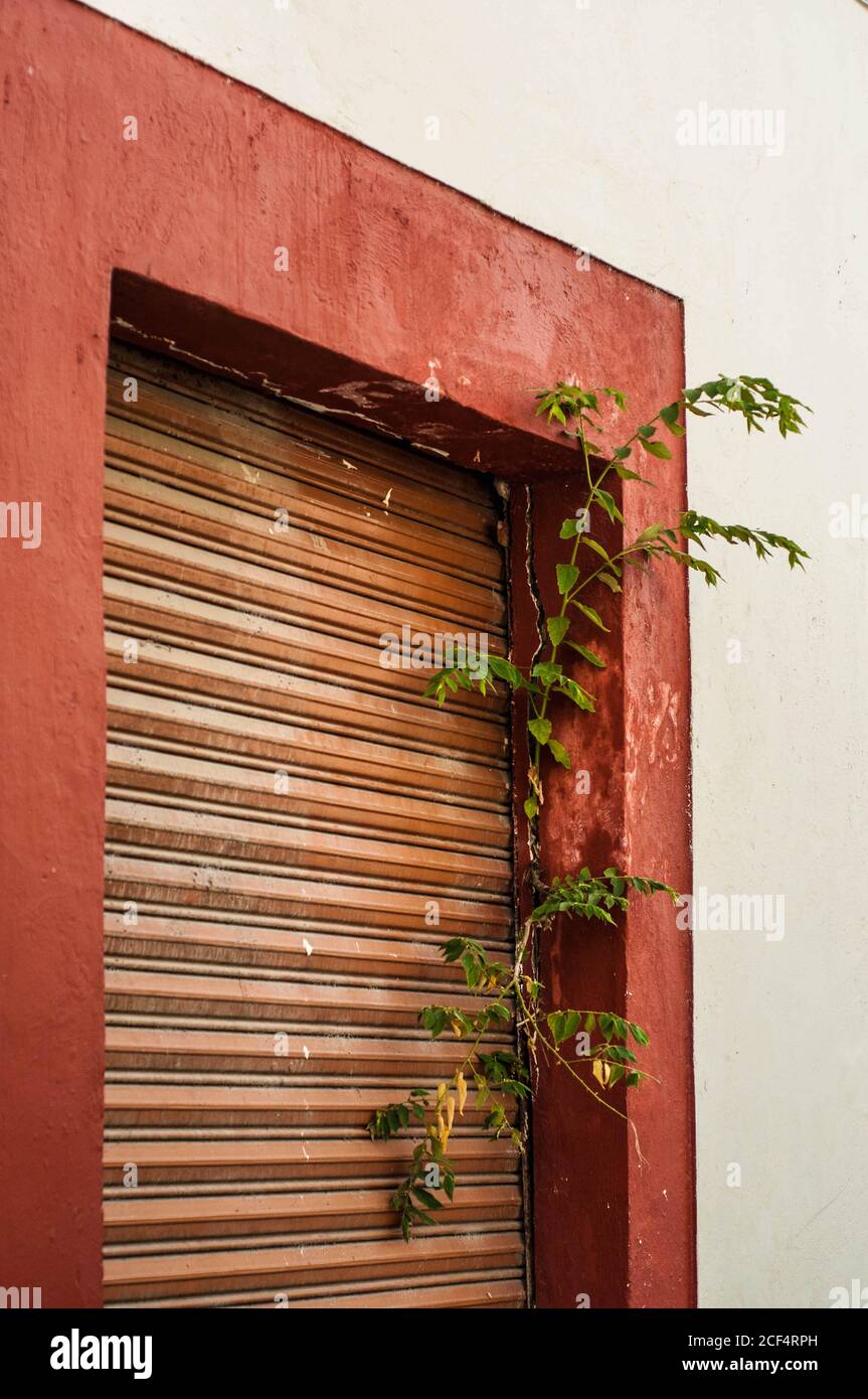 Shabby wall colored in red windows with brown blinder in bright day Stock Photo