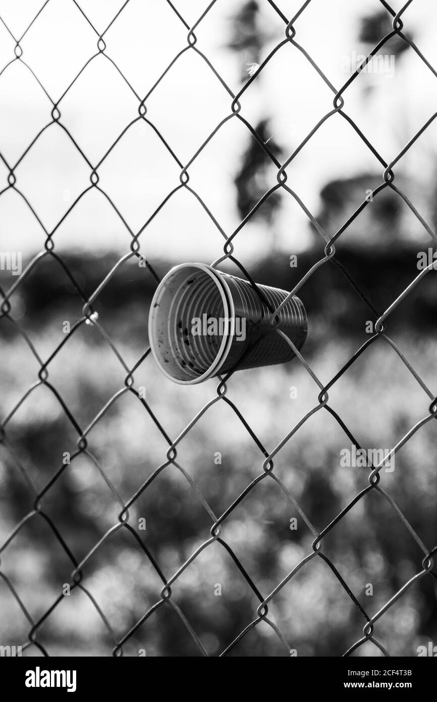 Empty plastic cups in security fence wall with metal grid in field Stock Photo