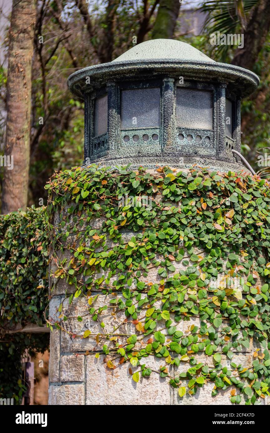 Close up shot of a rock column in NTU at Taipei, Taiwan Stock Photo - Alamy