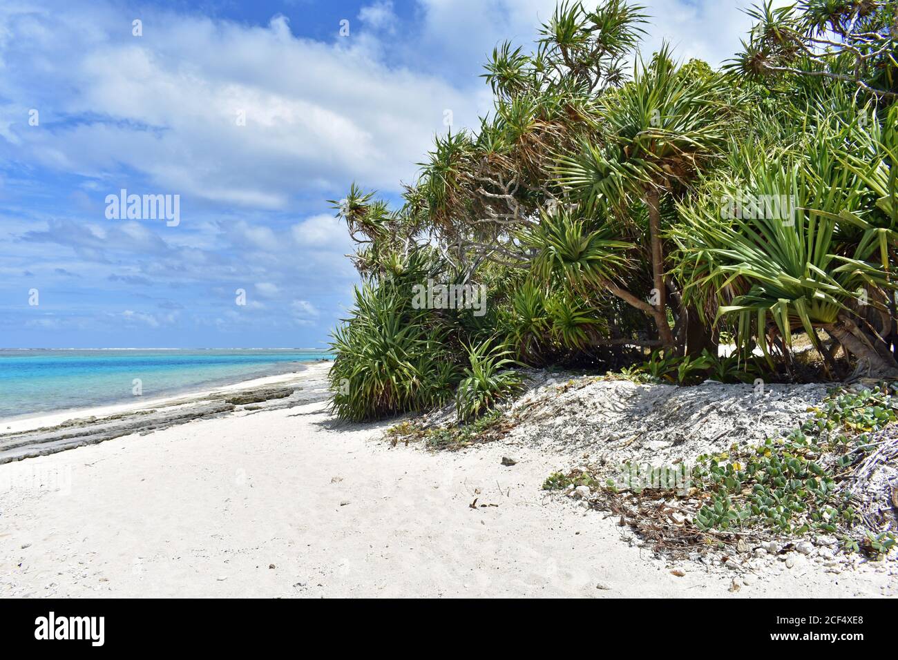 A deserted white sand beach on the South Pacific Island of Mystery Island, Vanuatu.   Green tropical foliage and a bright blue ocean frame the beach. Stock Photo
