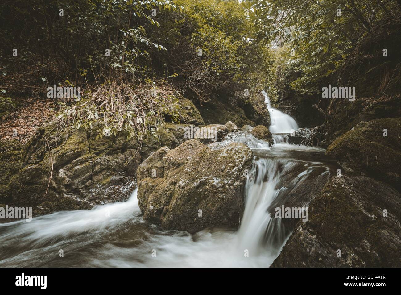 Spring landscape of forest park with small raging river flowing among ...