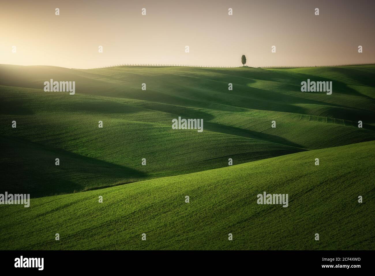 Endless green fields in italy hi-res stock photography and images - Alamy