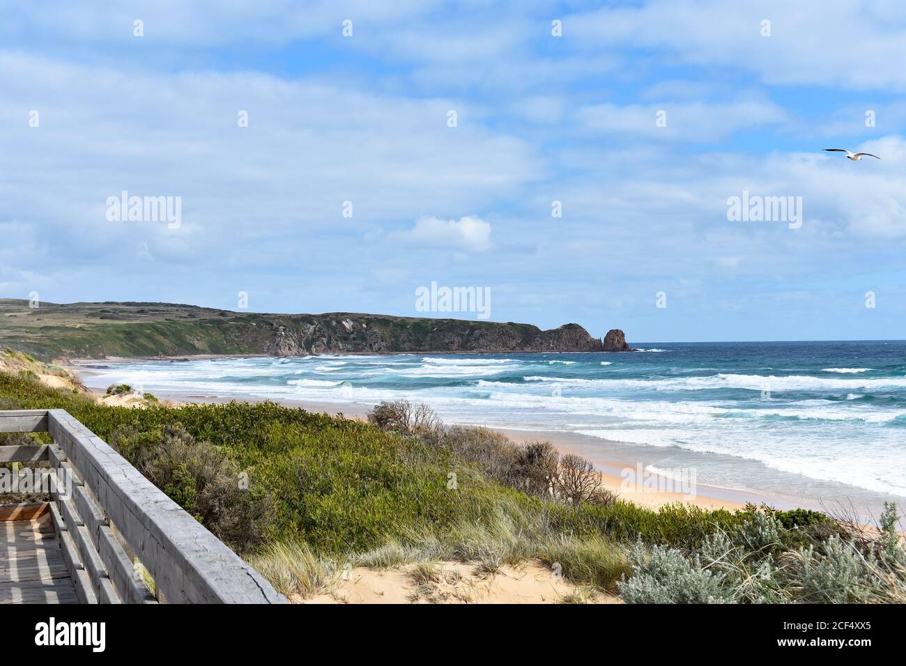 A small section of the wooden boardwalk on Cape Woolamai Beach.  Grass grows along the edges of the golden sand beach as wave crash from the blue sea. Stock Photo