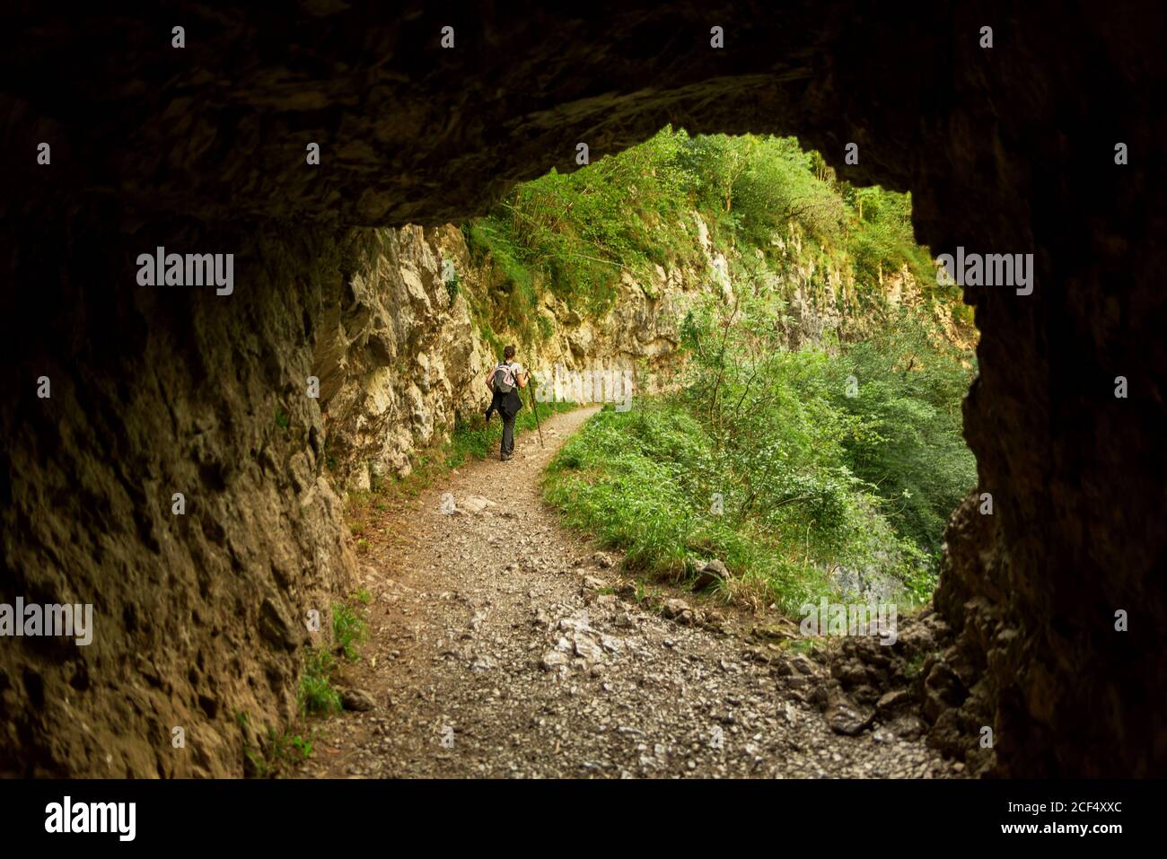 young woman hiking in mountain forest Stock Photo - Alamy