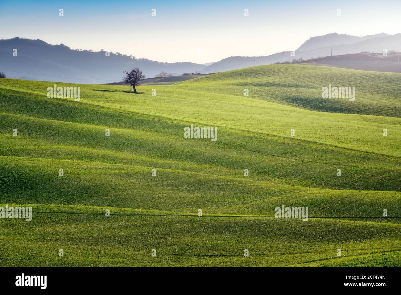 Endless green fields in italy hi-res stock photography and images - Alamy