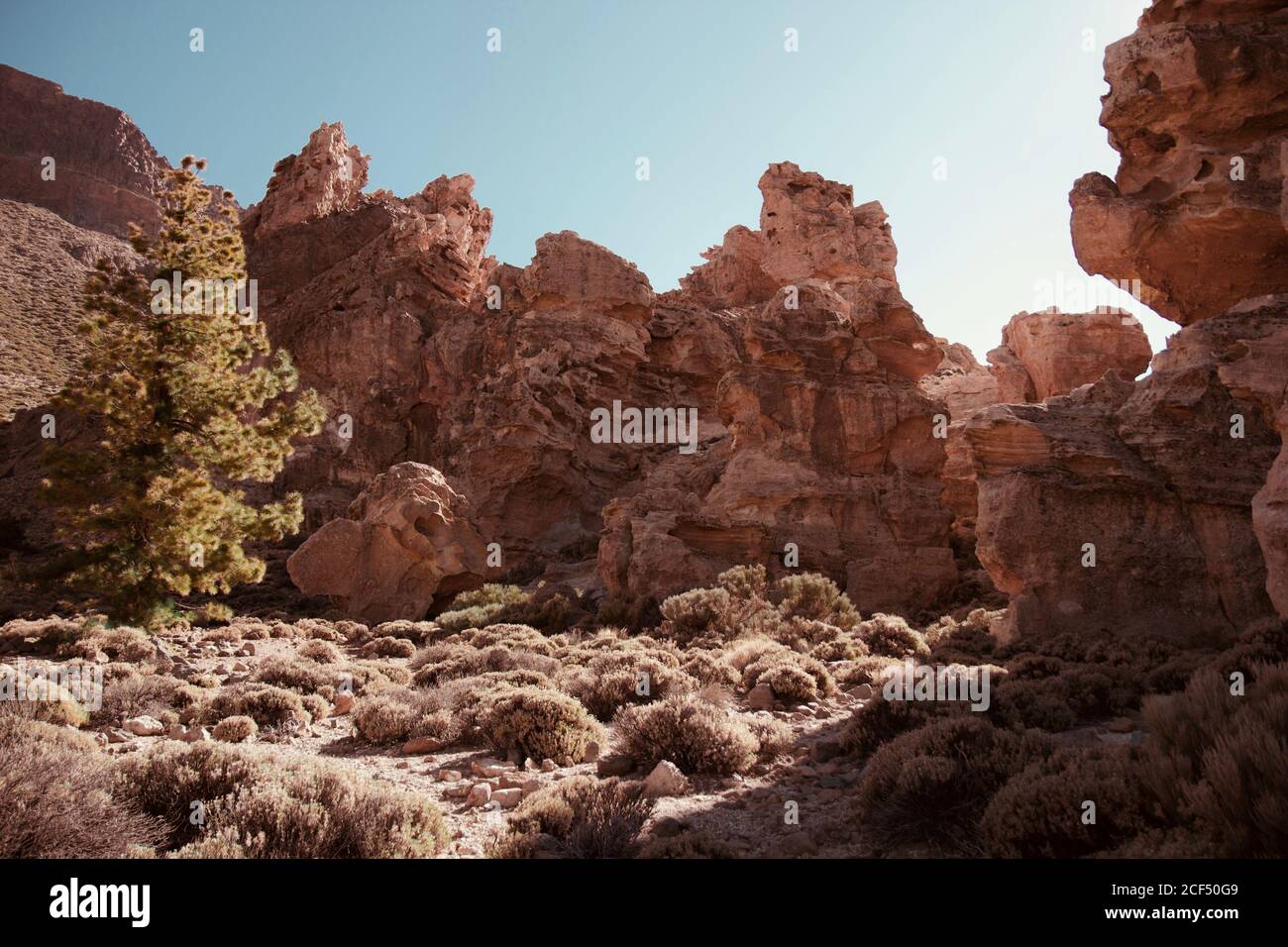 Rough stony cliffs and small shrubs with clear blue sky on background in Teide, Spain Stock Photo