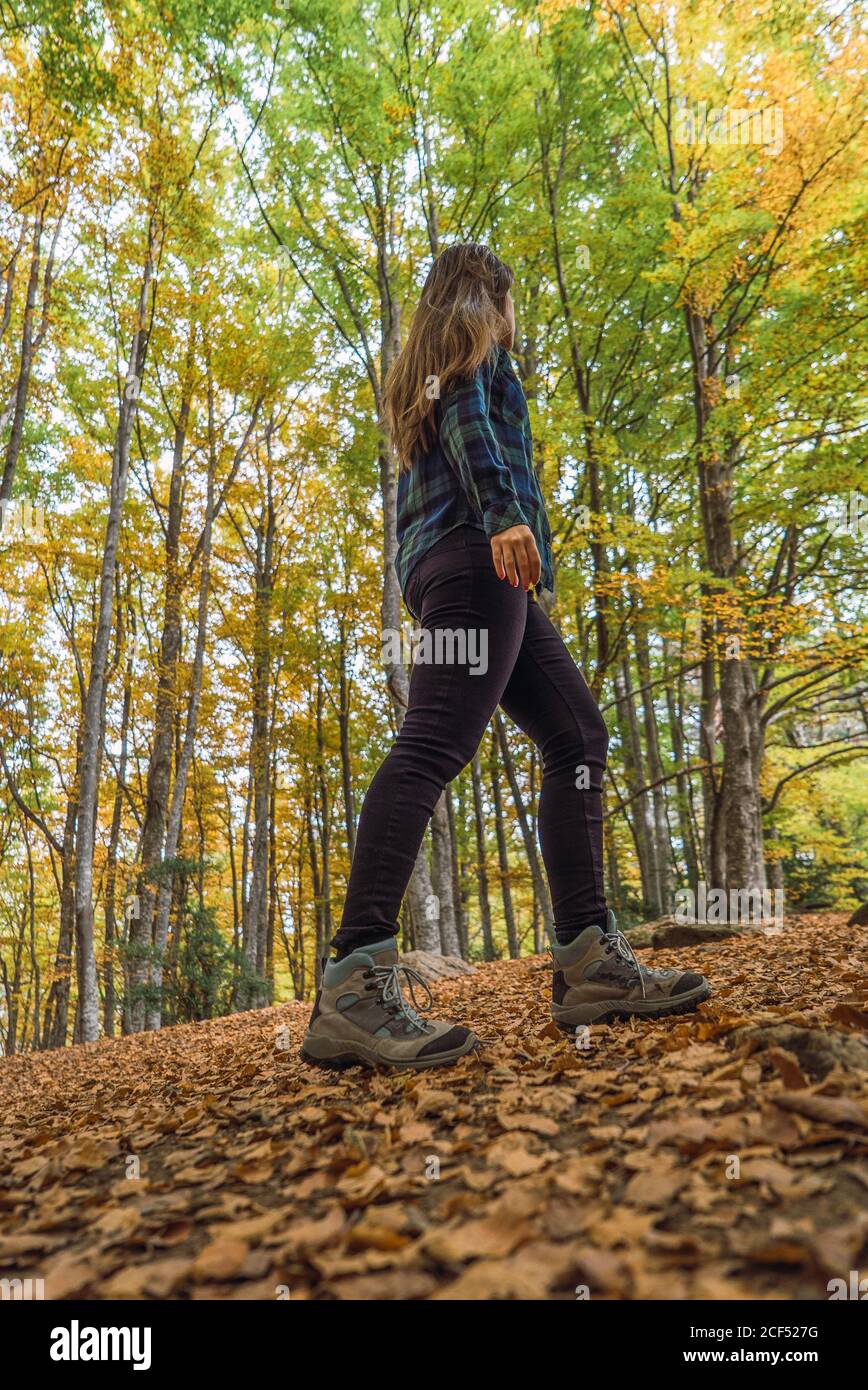 Long haired unrecognizable female in stylish casual plaid shirt sneakers and trendy sunglasses sitting on small stub on spangled of leafage path among green trees Stock Photo