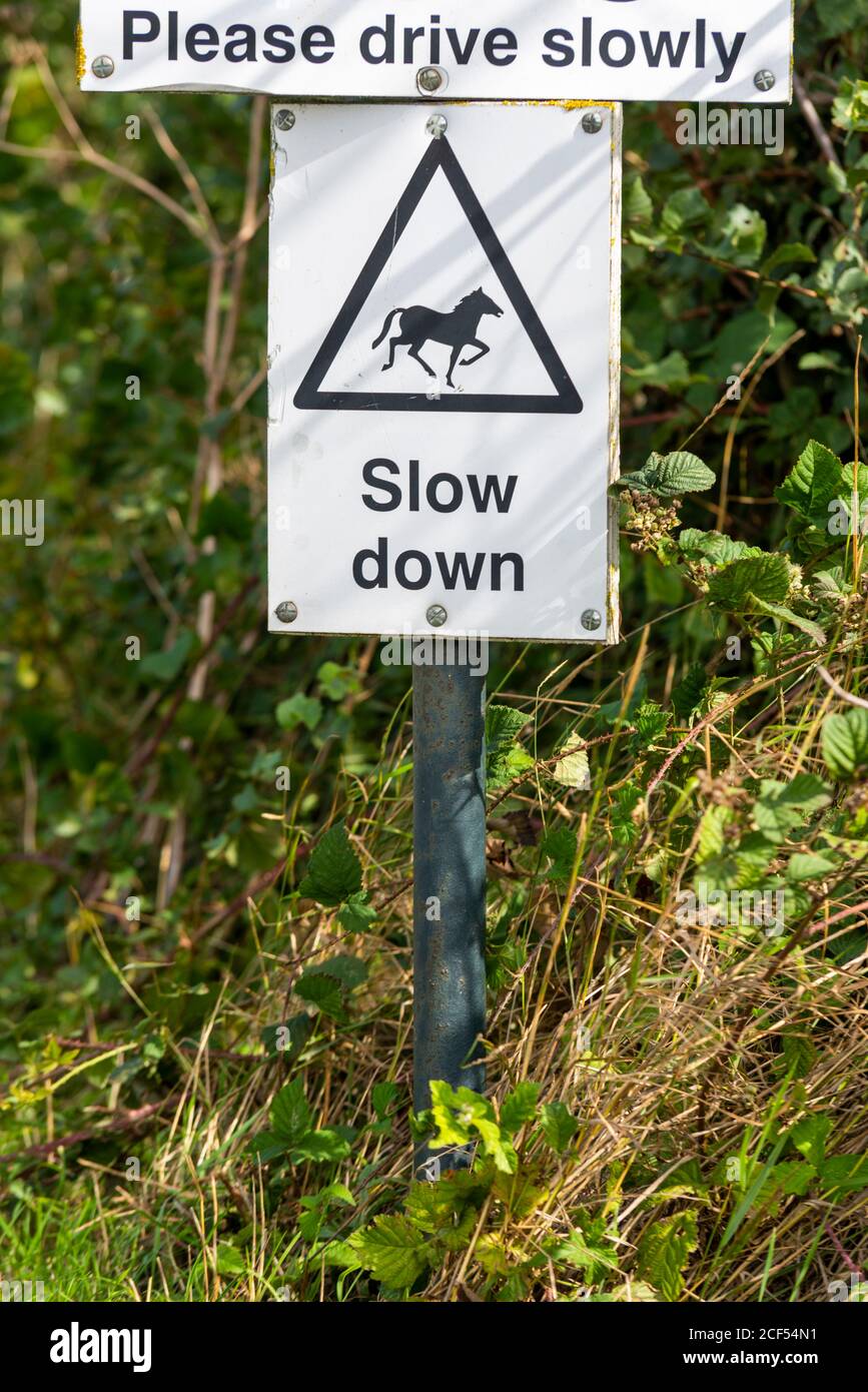 Slow down, horses, please drive slowly, sign in Great Wakering, near Southend, Essex, UK Stock Photo