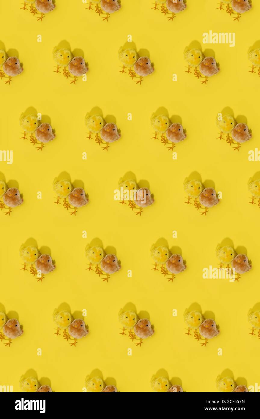 Seamless spring Easter pattern with repetitive blurred chickens on bright yellow background Stock Photo