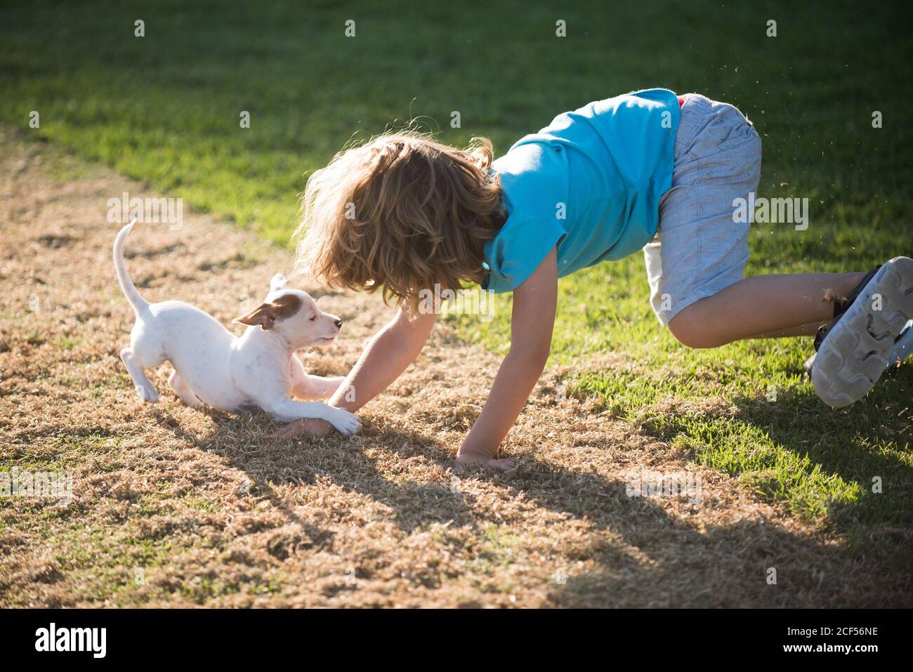 Cute child enjoying with her best friend dog. Funny doggy game. Kids  playing with his pet dog Stock Photo - Alamy