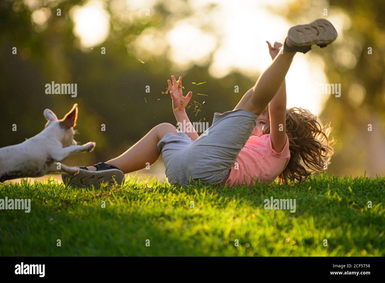Cute child playing with a puppy dog, outdoor summer. Kid with pets. Stock Photo