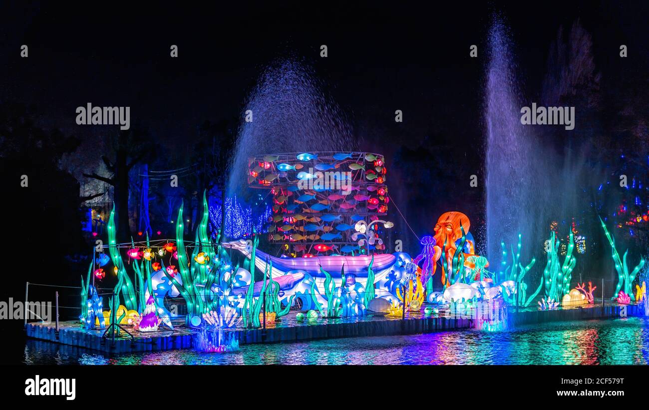 Dublin, Ireland, November 2018 Wild lights at Dublin zoo. Light