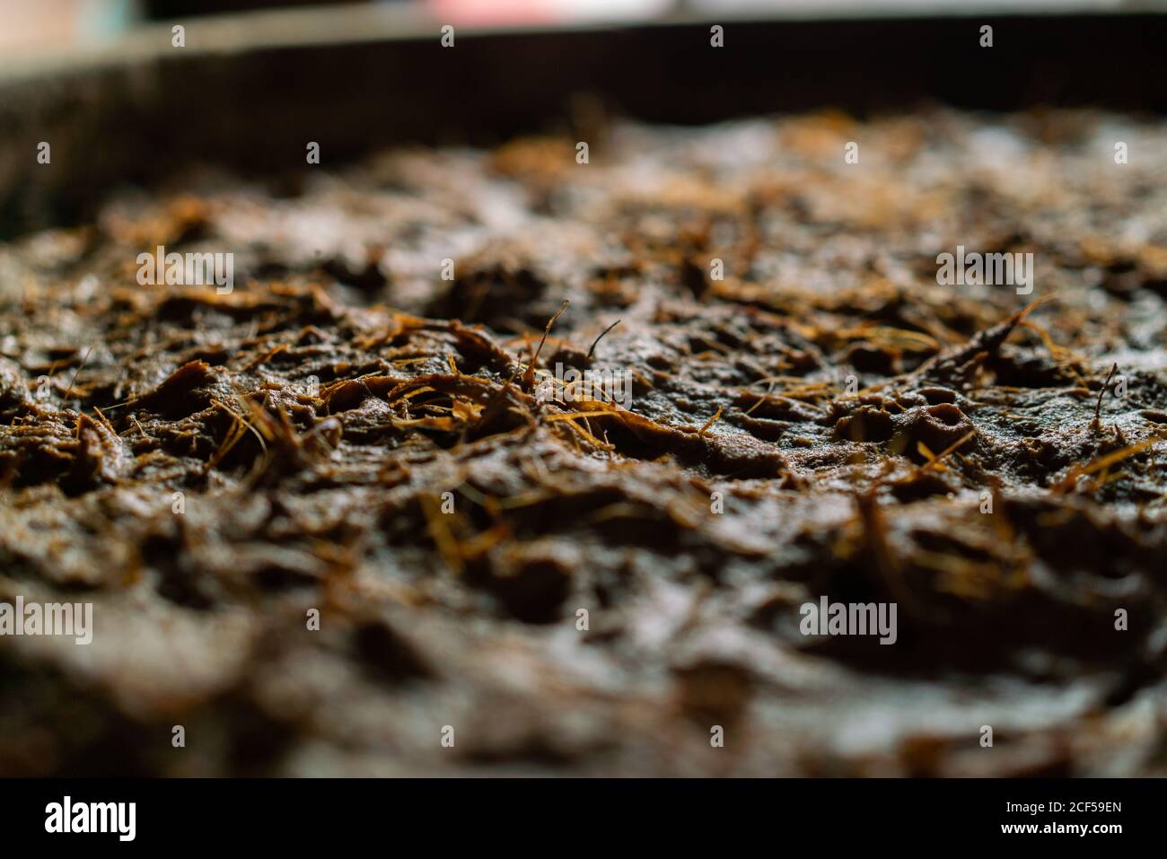 Agave fibers hi-res stock photography and images - Alamy
