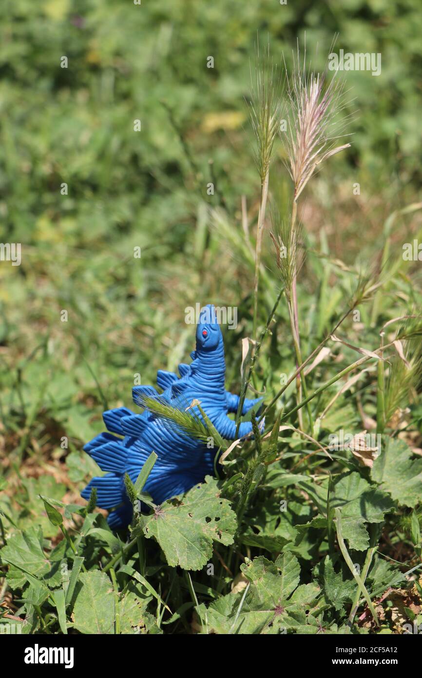 blue rubber stegosaurus dinosaur toy in a park Stock Photo