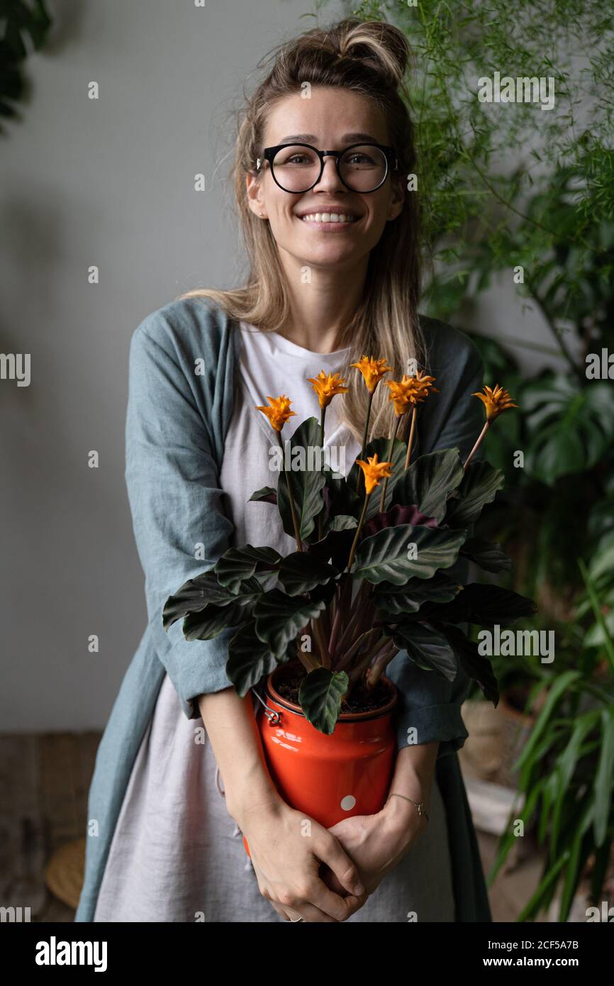 Happy woman gardener in eyeglasses wearing linen dress, holding a flowering calathea plant in old red milk can looking at camera, standing in her home Stock Photo