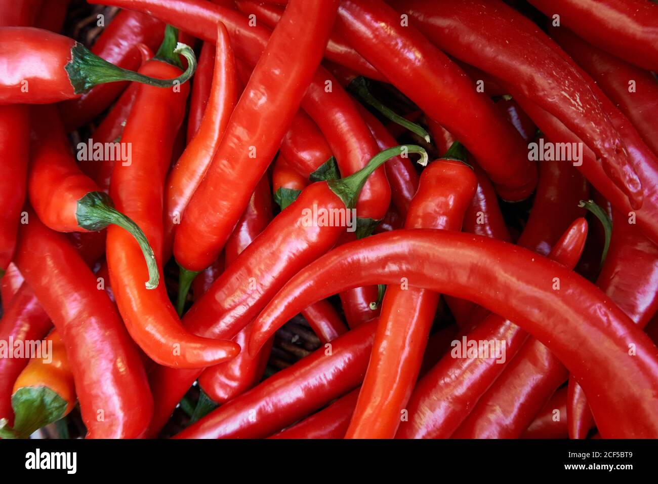 Top view of fresh red hot chili peppers placed in pile on market Stock  Photo - Alamy