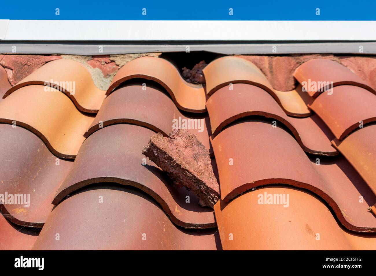 Damaged eave closure on the clay tile roof creates openings to birds and wildlife. Stock Photo