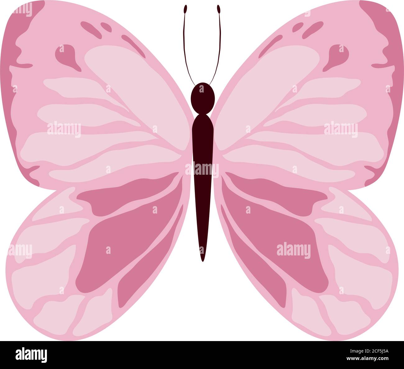 pink beautiful butterfly delicate insect isolated icon white ...