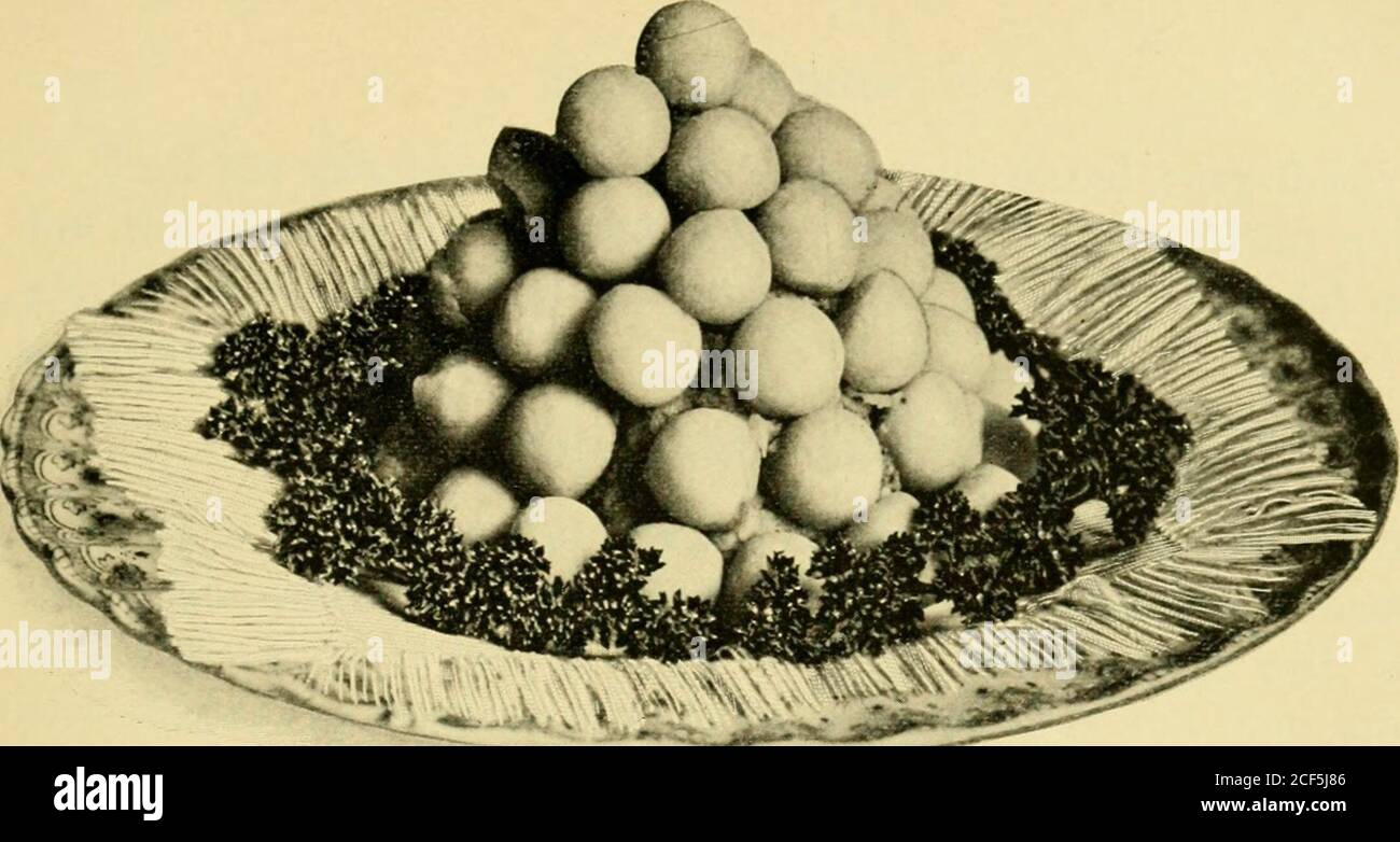. Mrs. Seely's cook book; a manual of French and American cookery, with chapters on domestic servants, their rights and duties and many other details of household management. , etc., and fried in deep hot fat. Allpeeled potatoes should stand in cold water until they are boiledor fried. If fried, dry thoroughly before dropping in hot fat.Cold boiled potatoes are cut in dice or thin slices, seasoned withsalt and pepper, and fried brown in very hot drippings or butter,with a little chopped onion and parsley. German Potato Cakes This well-known German dish has been made a part of thecookery of our Stock Photo