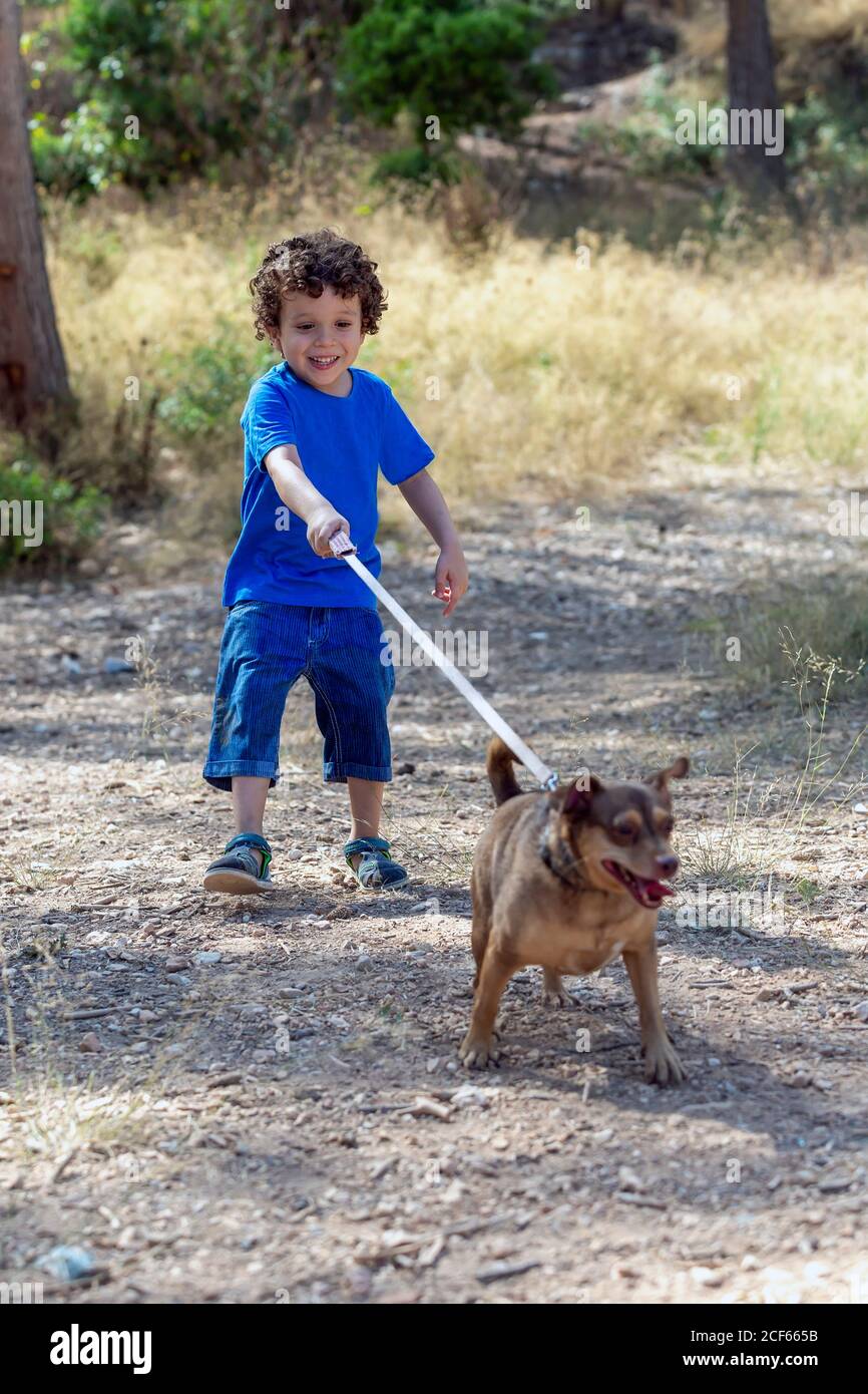 Child with his small dog walking on a leash in a natural park laughing while the dog stretches and tightens the leash Stock Photo