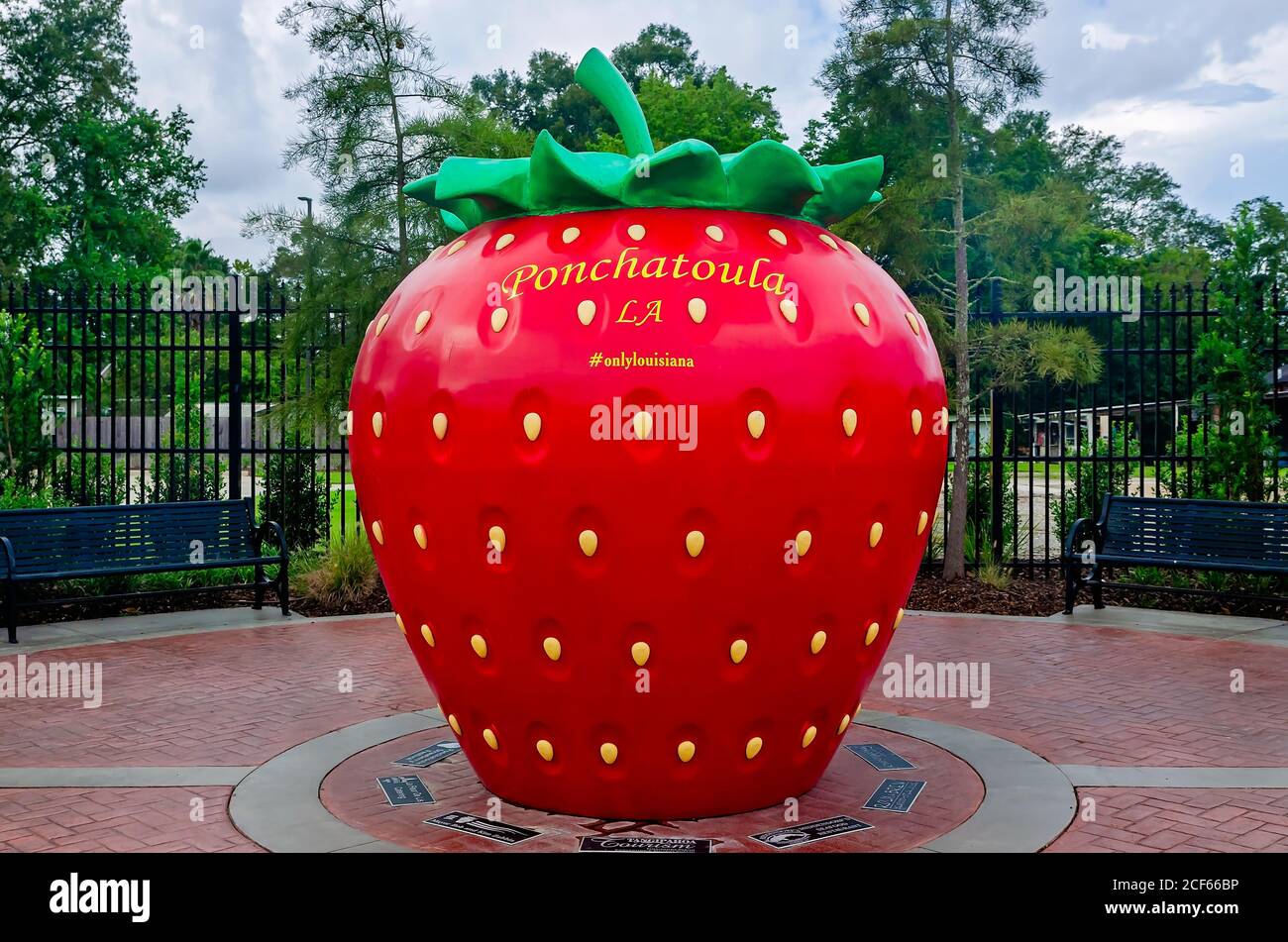 S is for strawberry hires stock photography and images Alamy