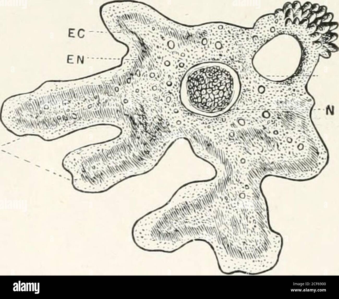 Page 3 Reproduction Mode High Resolution Stock Photography And Images Alamy Page 3 Reproduction Mode High Resolution Stock Photography And Images Alamy