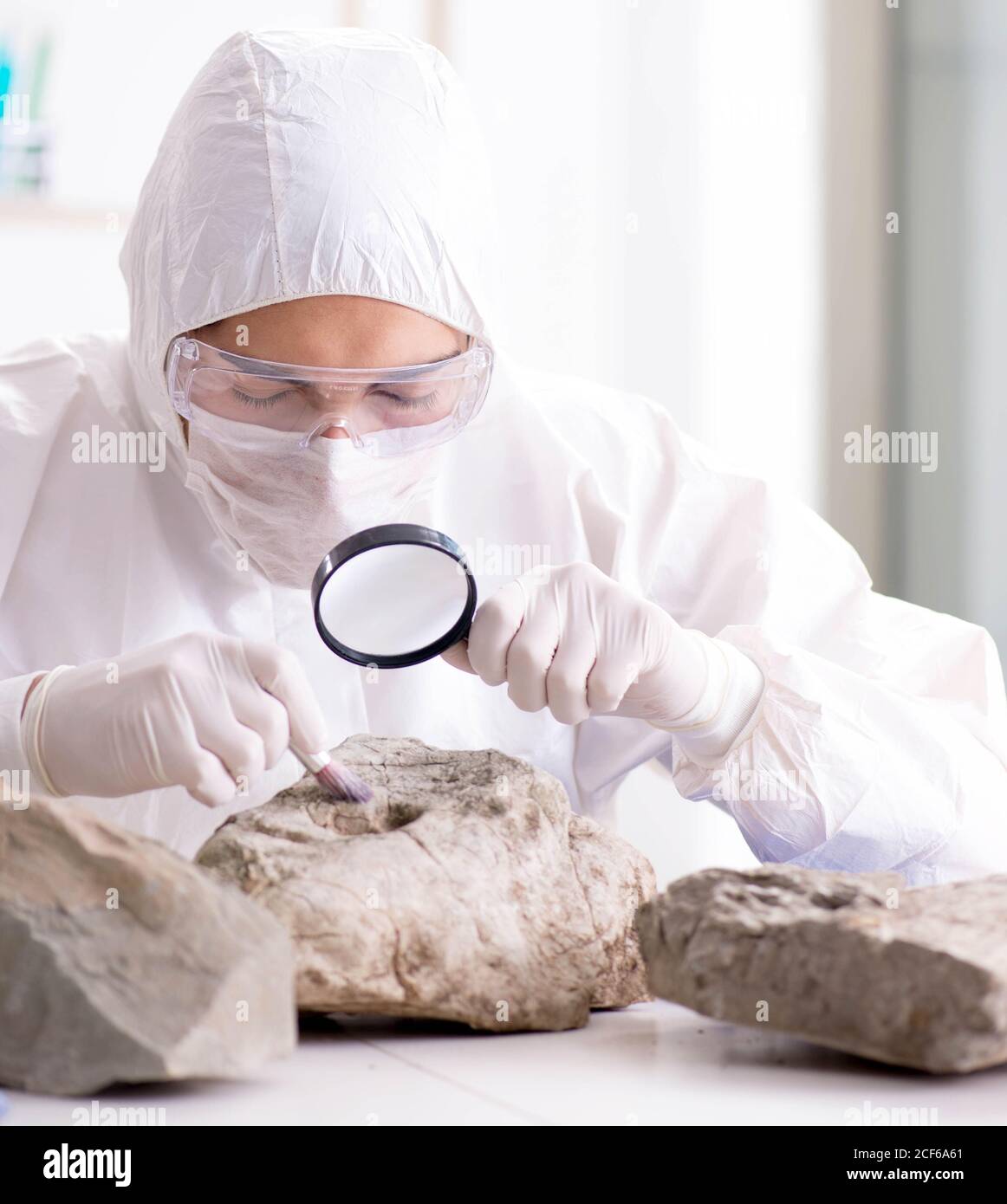The scientist looking and stone samples in lab Stock Photo - Alamy
