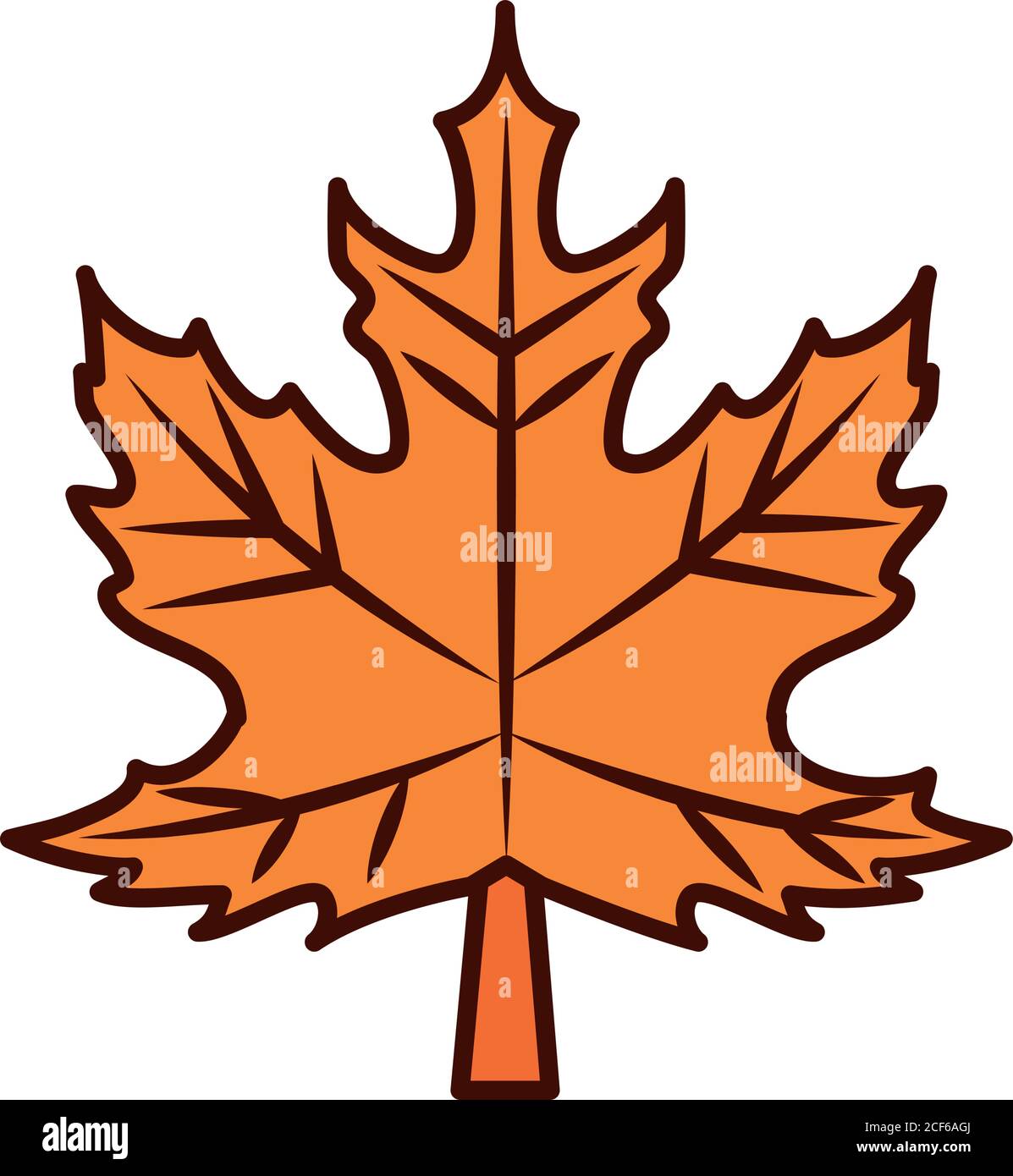maple leaf foliage autumn line and fill icon vector illustration Stock ...