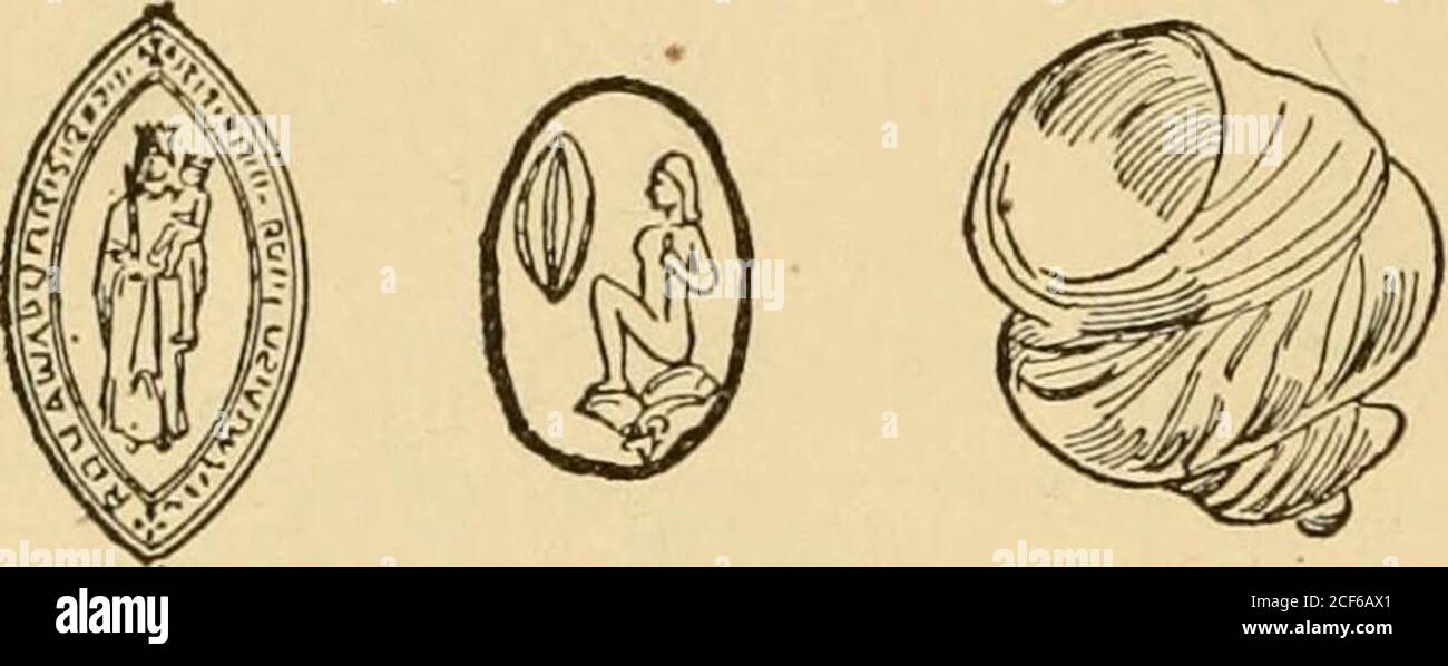 Phallic like hires stock photography and images Alamy