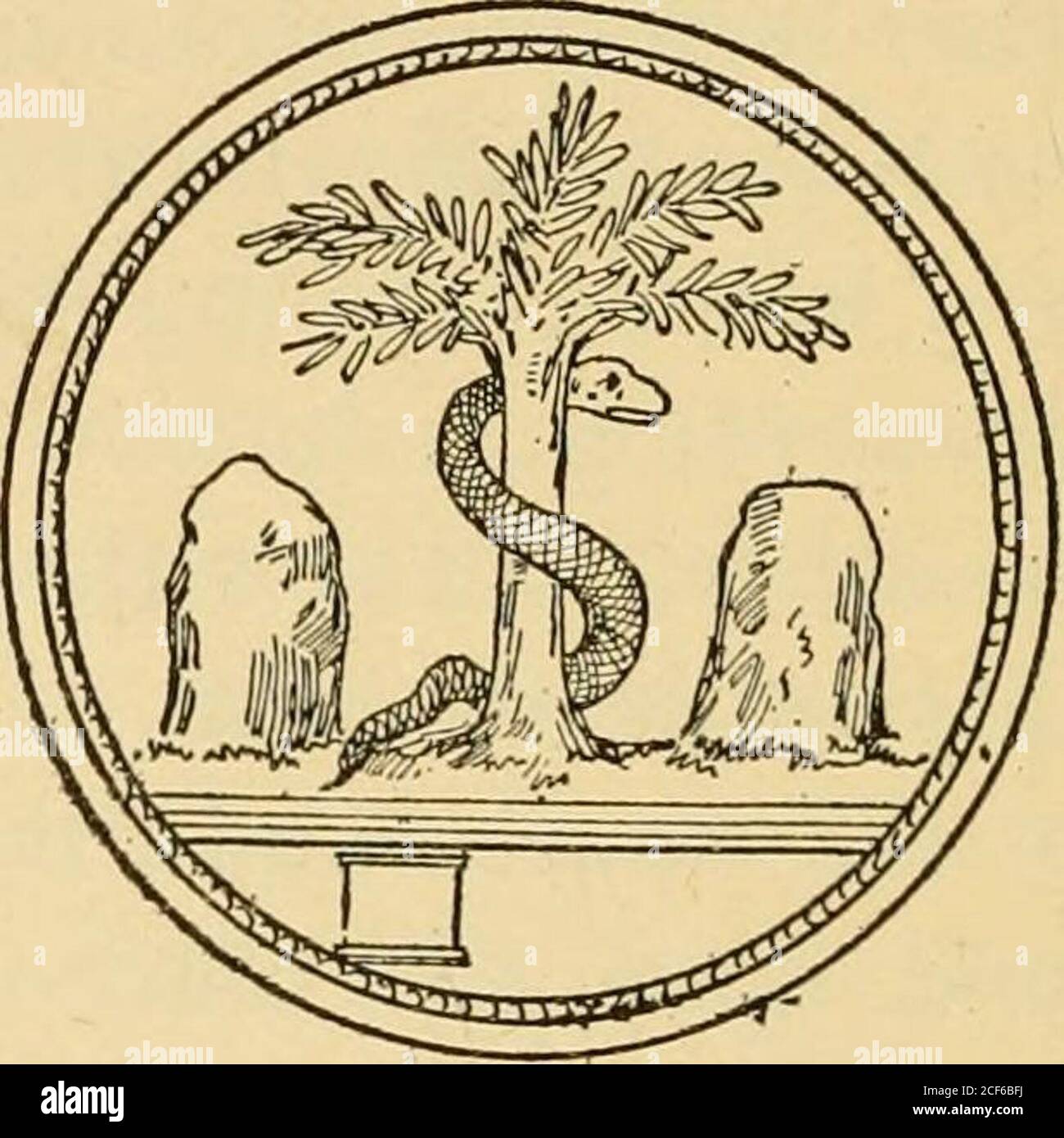 . Phallic worship : an outline of the worship of the generative organs, as being, or as representing, the Divine Creator, with suggestions as to the influence of the phallic idea on religious creeds, ceremonies, customs and symbolism, past and present. Fig. 155. Fig. 156. In Figure 155 we have the large pillar — the divineCreator — entwined by celestial wisdom and purpose.On either side is the shell representing the female —and the tree indicating the male. The latter two are,of course, the means — the agency — the servants ofthe foi-mer in generating the race. In Figure 156 thetree and the tw Stock Photo