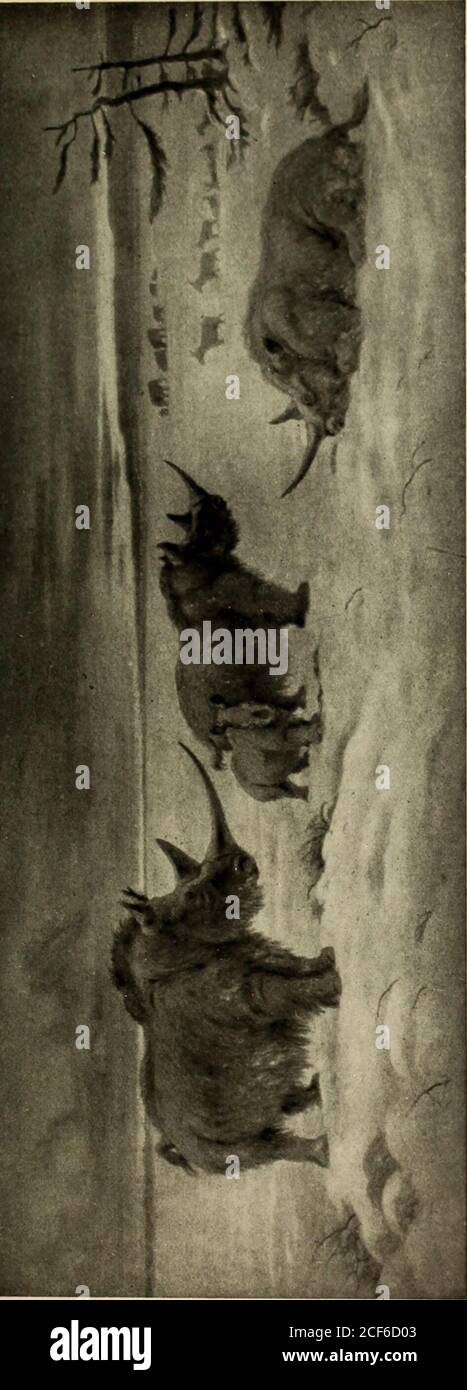 Page 421 3 0 R High Resolution Stock Photography And Images Alamy