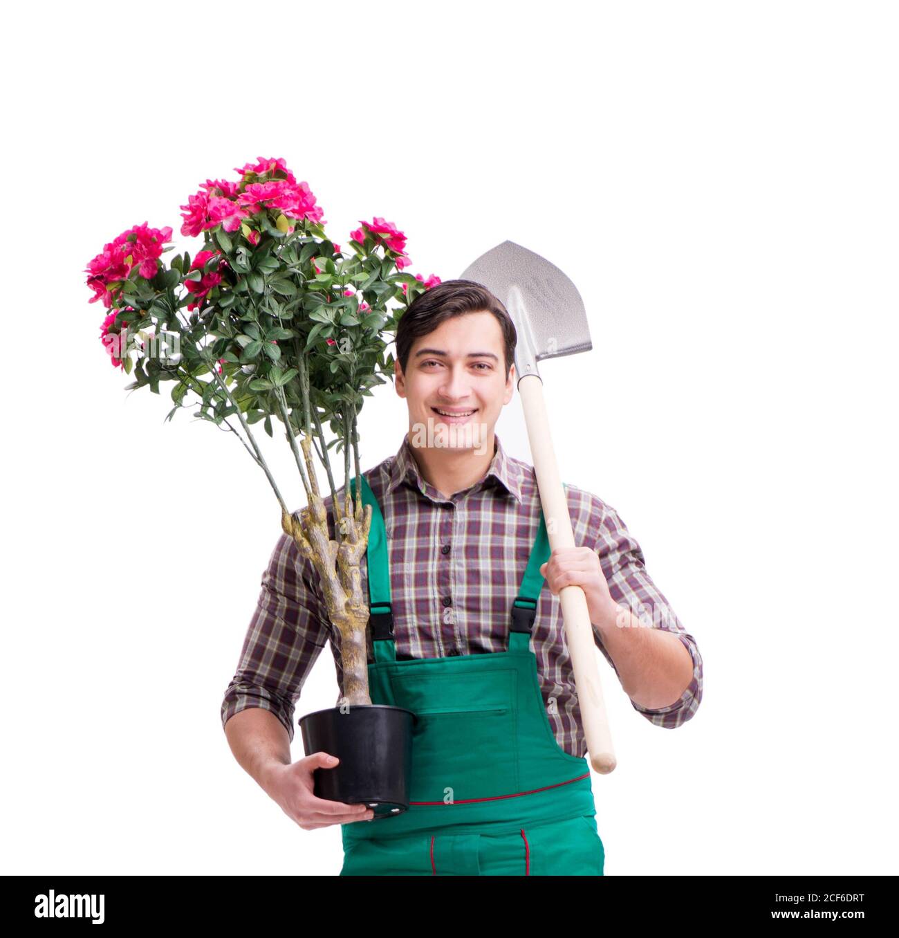 The young man gardener isolated on white Stock Photo - Alamy
