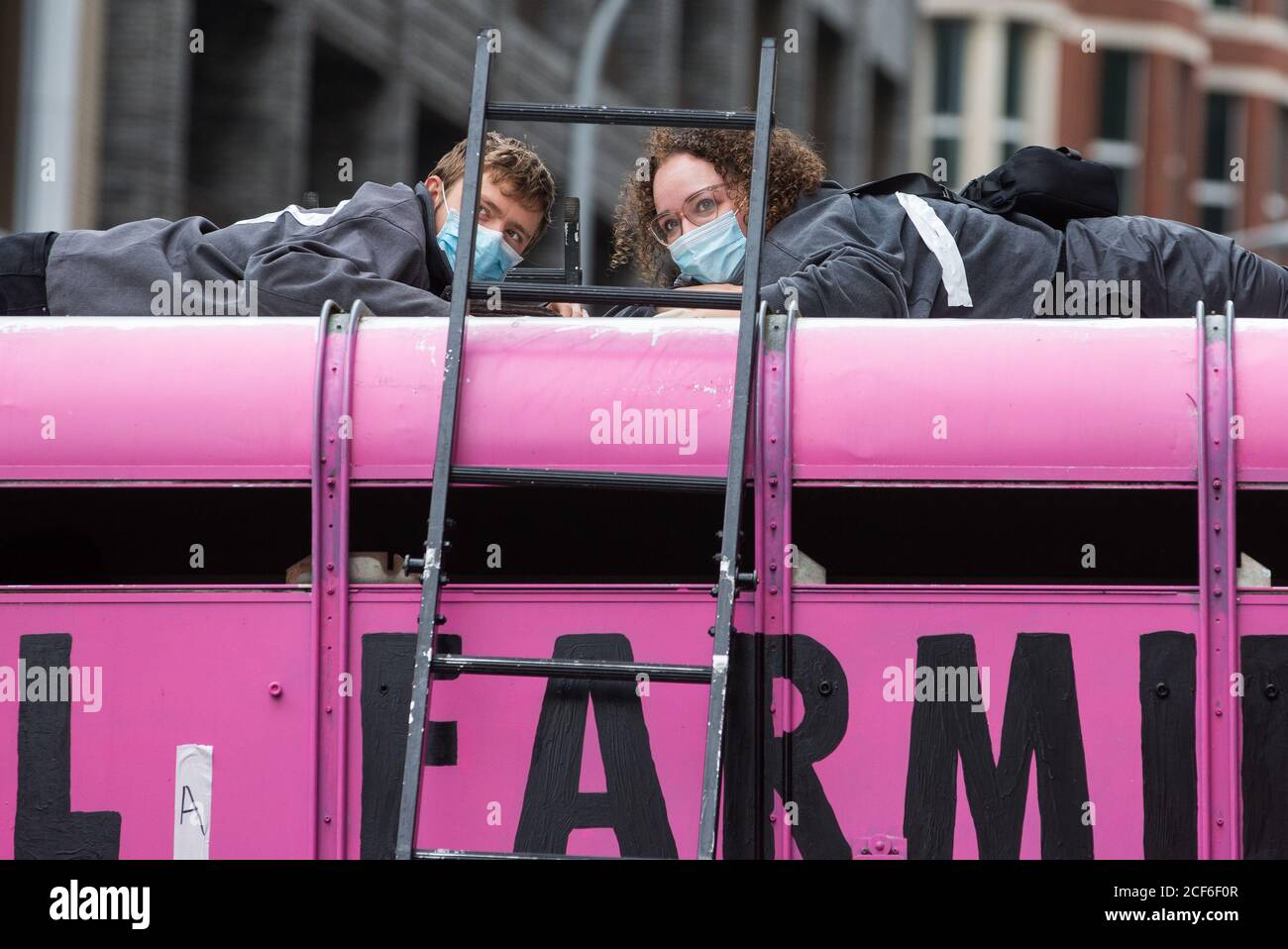 London, UK. 3rd September, 2020. Animal rights activists from Animal Rebellion are pictured glued to the top of and inside a truck in order to blockade the Department of Health and Social Care. Animal Rebellion activists are protesting in solidarity with victims of the global food system and to demand that the UK transitions to a sustainable plant-based food system. Credit: Mark Kerrison/Alamy Live News Stock Photo