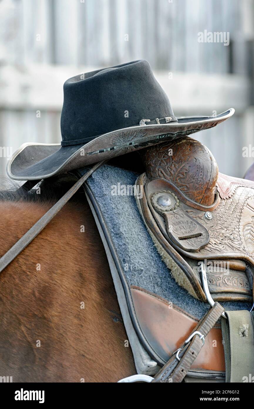 Cowboy hat and horse saddle at the Indian Rodeo grounds, Tsuu T'ina Nation, Alberta Canada Stock Photo