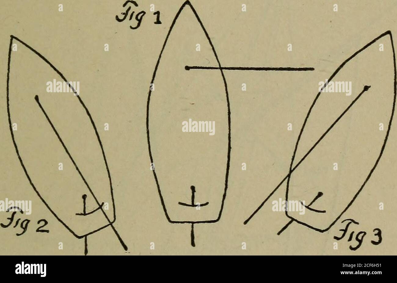 Feat diagram hi-res stock photography and images - Alamy