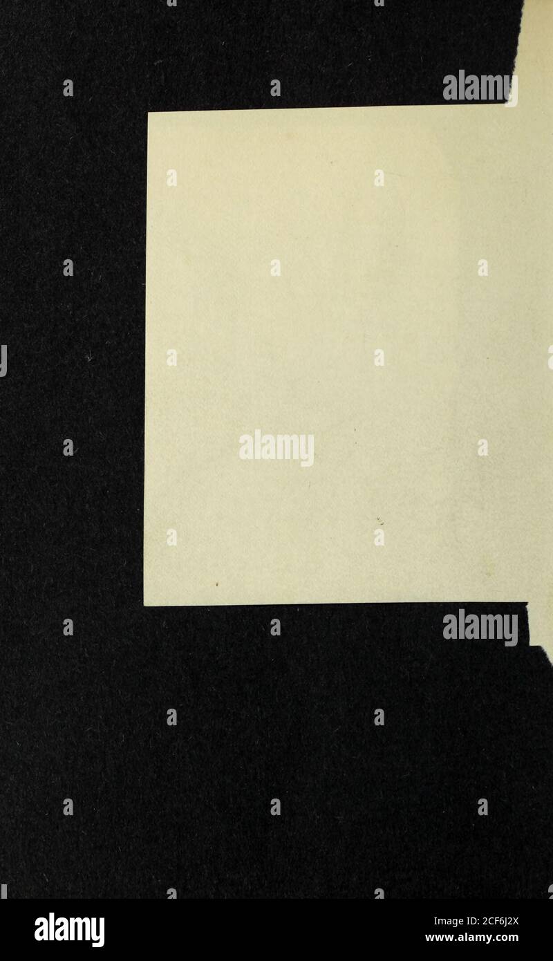 Peter guber hi-res stock photography and images - Alamy